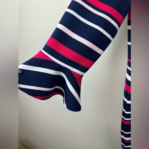 Draper James x Eloquii Ottoman Stripe Dress 14 - Picture 10 of 12